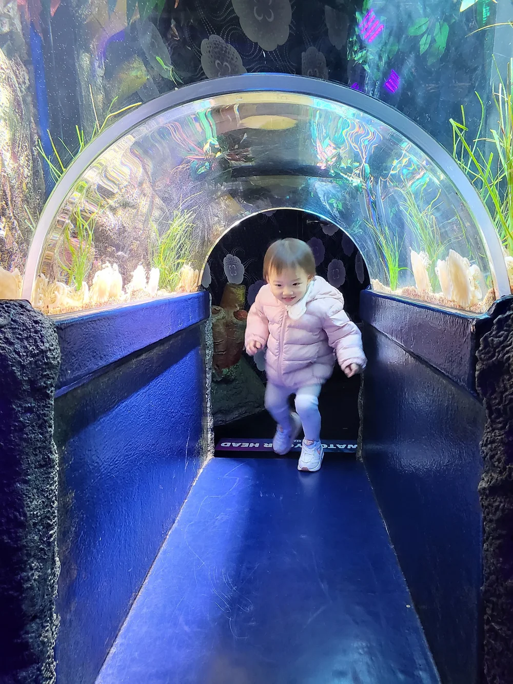 WhatsApp Image 2024-07-01 at 00.01.24 (1).jpeg