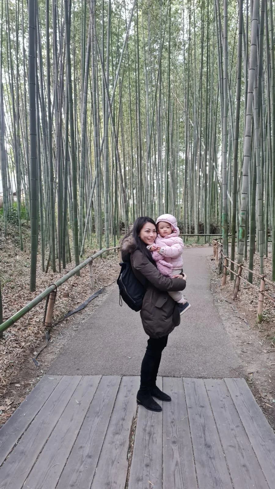 Bamboo Forest.jpeg