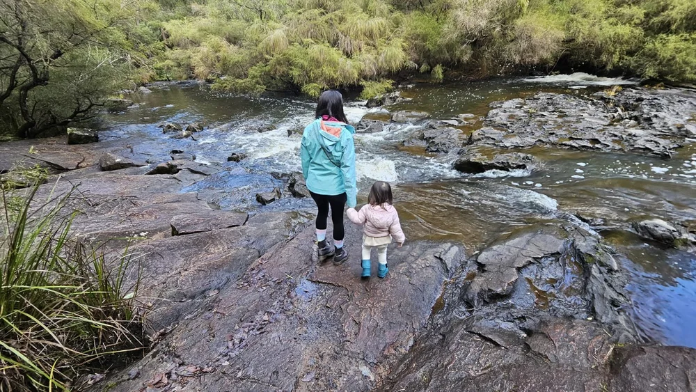 Pemberton Tramway.jpeg