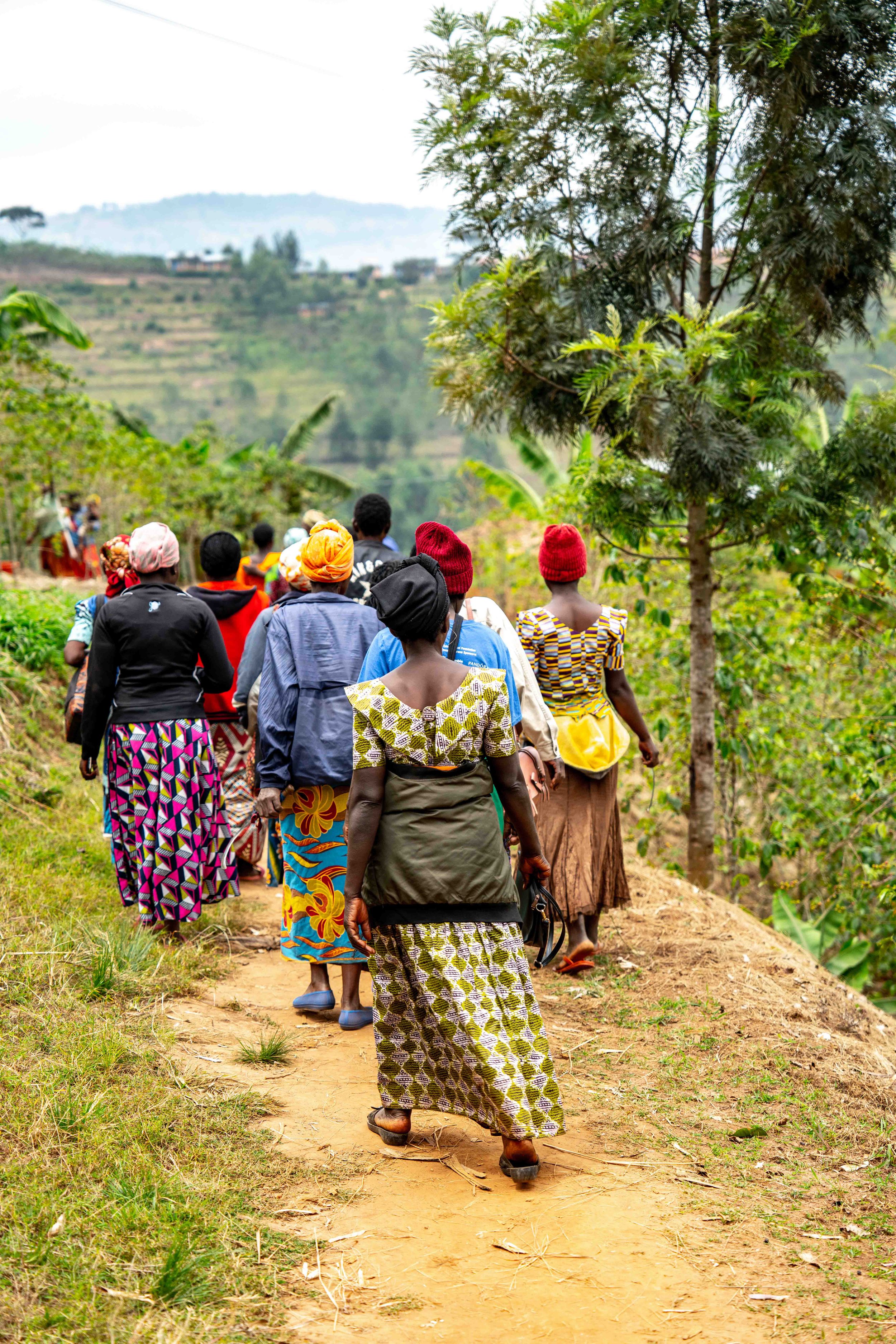 220812-Root_Capital-Women's_Cooperative-Rushashi_Gakenke-Rwanda-©Adam_Finch_AFF9031.jpg