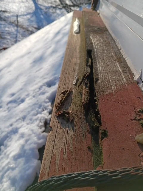 Before - Repair wood on cupola