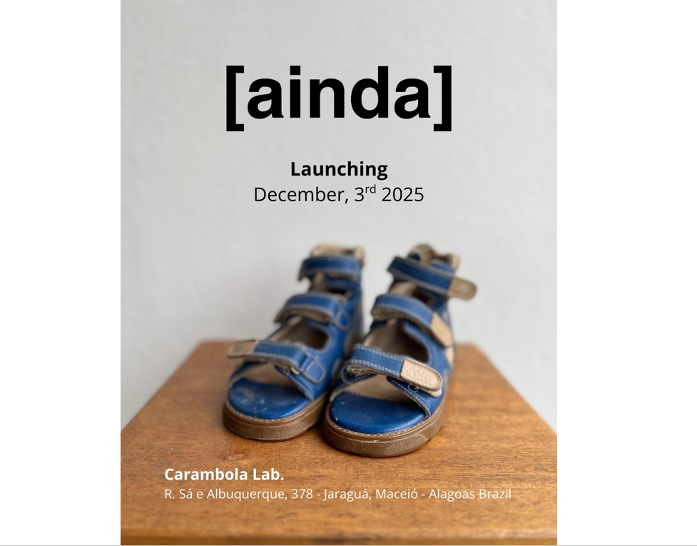 Exhibition on the lived experience of Zika