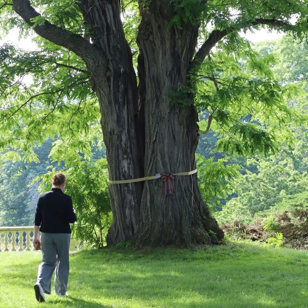 The Crucible of Change: Jenrette Foundation Convenes Cultural and Historic Landscape Leaders