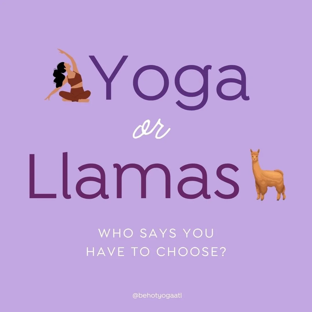 THIS SUNDAY! Join Diana at @alpacatreehouse and experience the magic of pranaLLama breathing (see what we did there??). Sign up using the link in our bio 🔗 or use this link: https://tinyurl.com/4mcrhsuw⁠
⁠
See you there! 🦙👋🏾⁠
⁠
#yoga #bikramyoga 