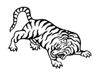 Tiger Community Night