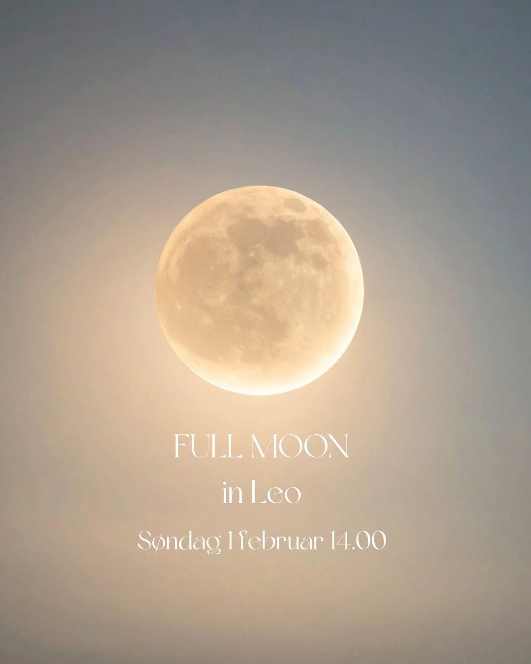 Yoga under fullm&aring;nen 🌕

Velkommen til en dag for &aring; koble helt ut, gi slipp og finne retning for ditt 2026💫 

Sammen skaper vi varme og trygt fellesskap under fullm&aring;nen 💕

🗓️ S&oslash;ndag 1. februar 
🕰️ 14.00-ca 15.45
📍Ro Fred