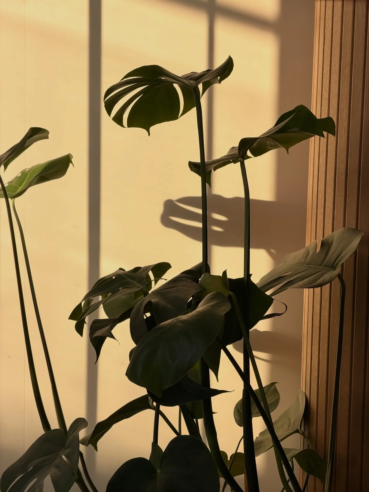 Min lidenskap er &aring; hjelpe andre kvinner til &aring; lande i ro 💕 Kjenne indre styrke og praktisere mer egenkj&aelig;rlighet 🩷 Det trenger vi mer av! 

Jeg h&aring;per du prioriterer rom for &aring; ta vare p&aring; deg selv og puste gjennom d