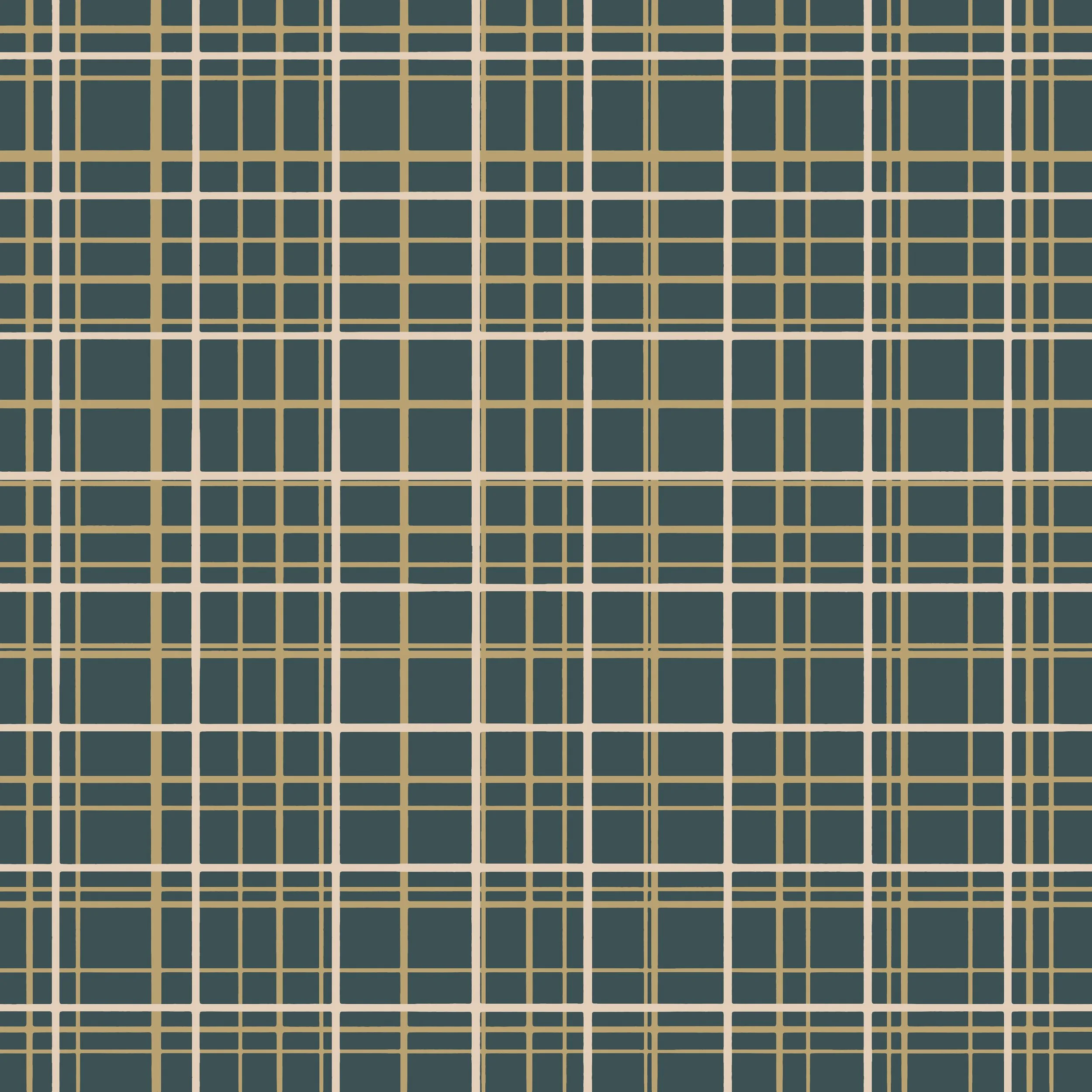 Plaid coor song bird  copy.jpg