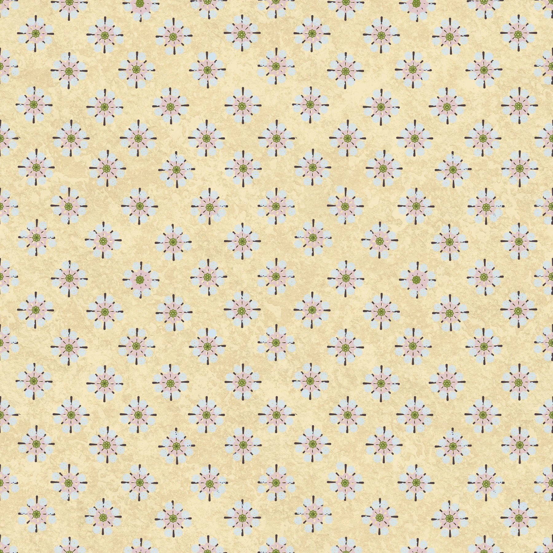 Daisy coor- copy.jpg