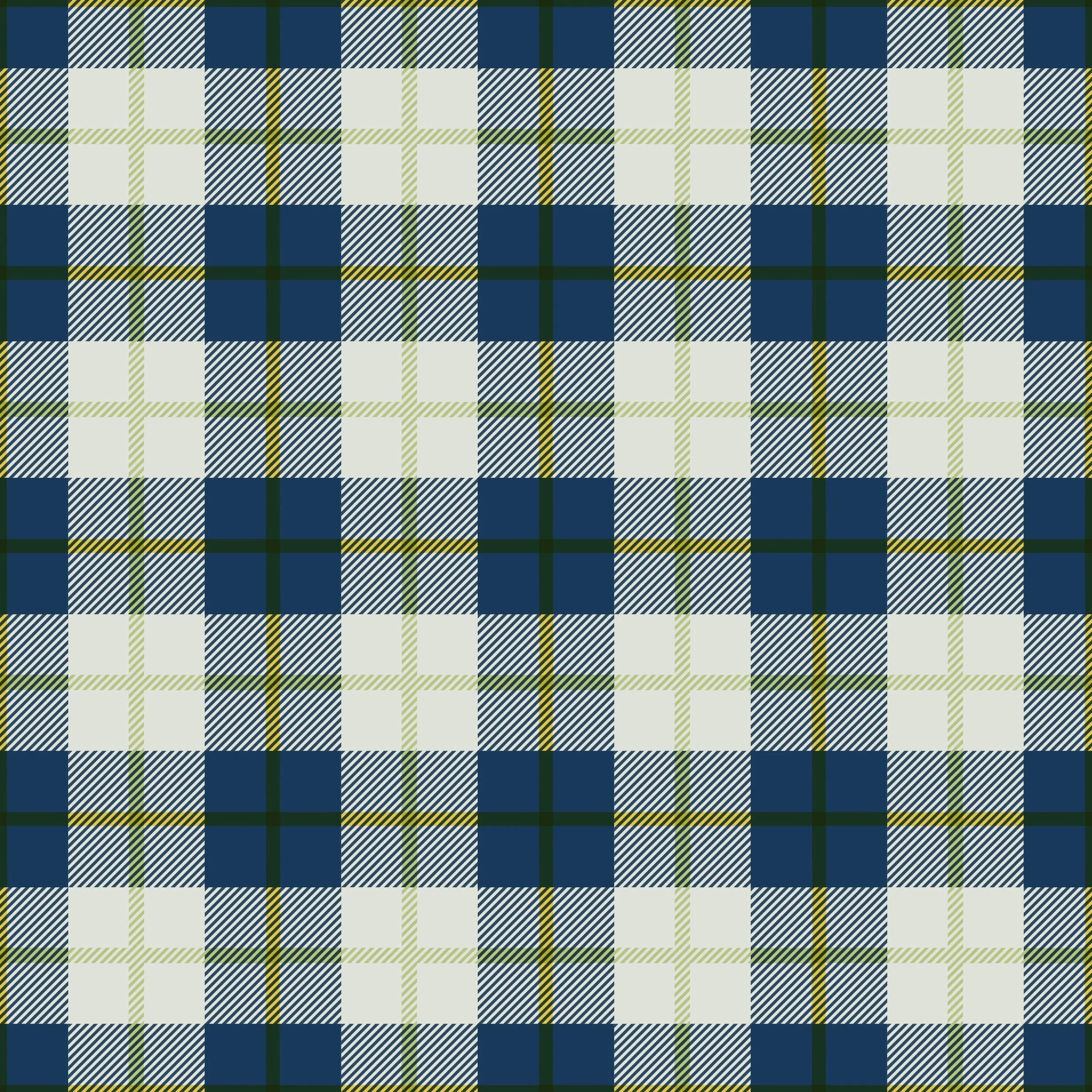 Plaid coor for novo.jpg
