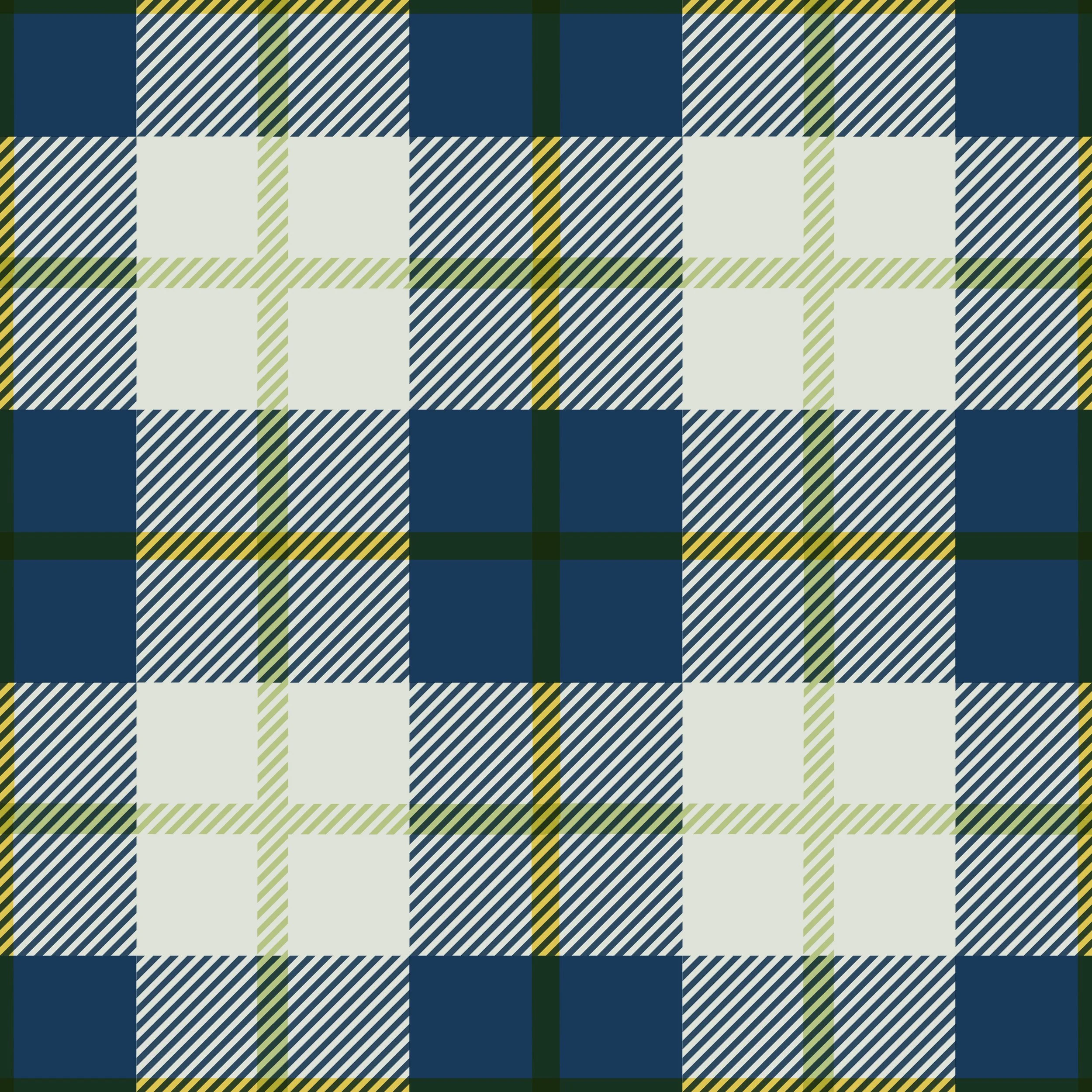 Plaid coordinate.jpg