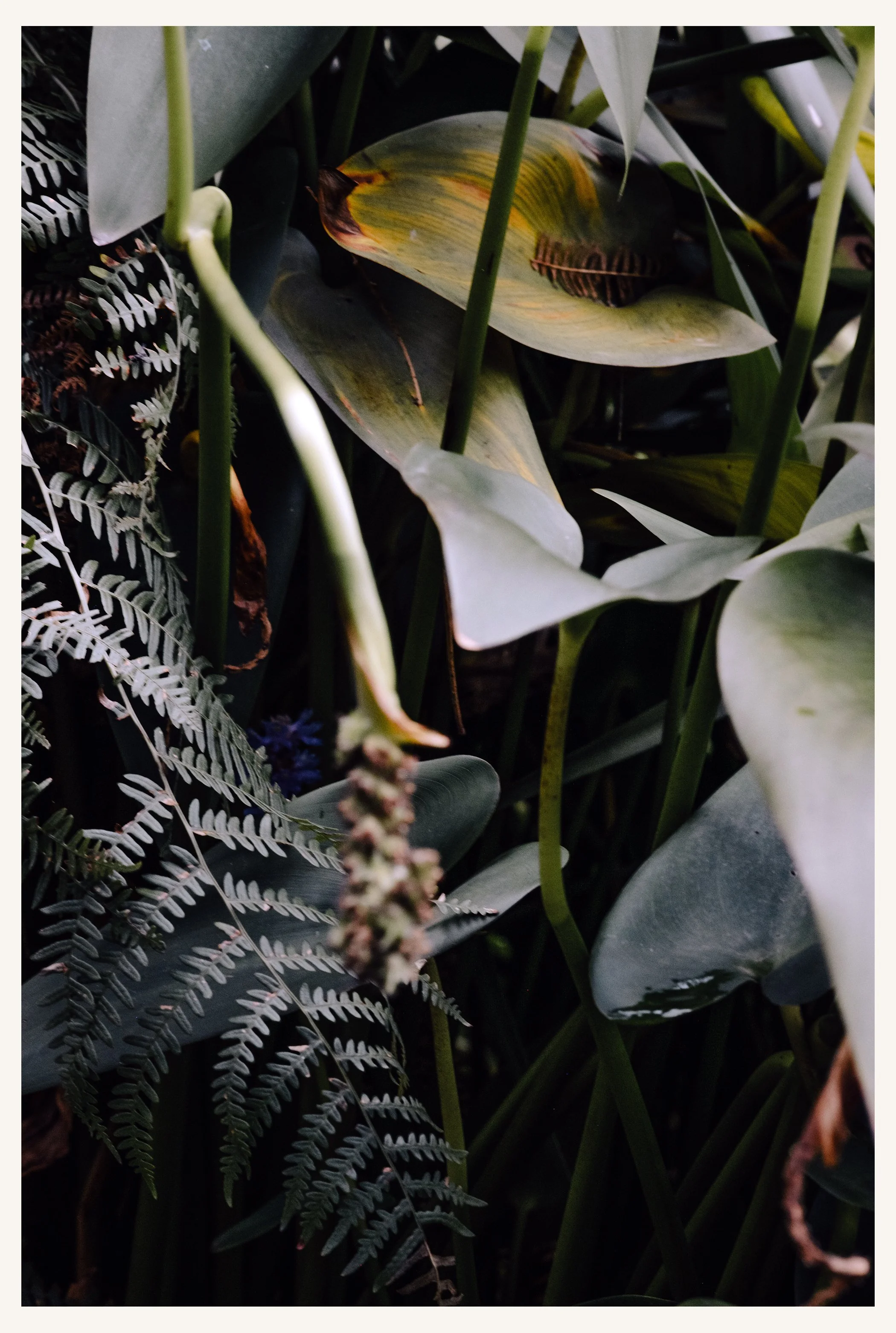 Garten_096R.jpg
