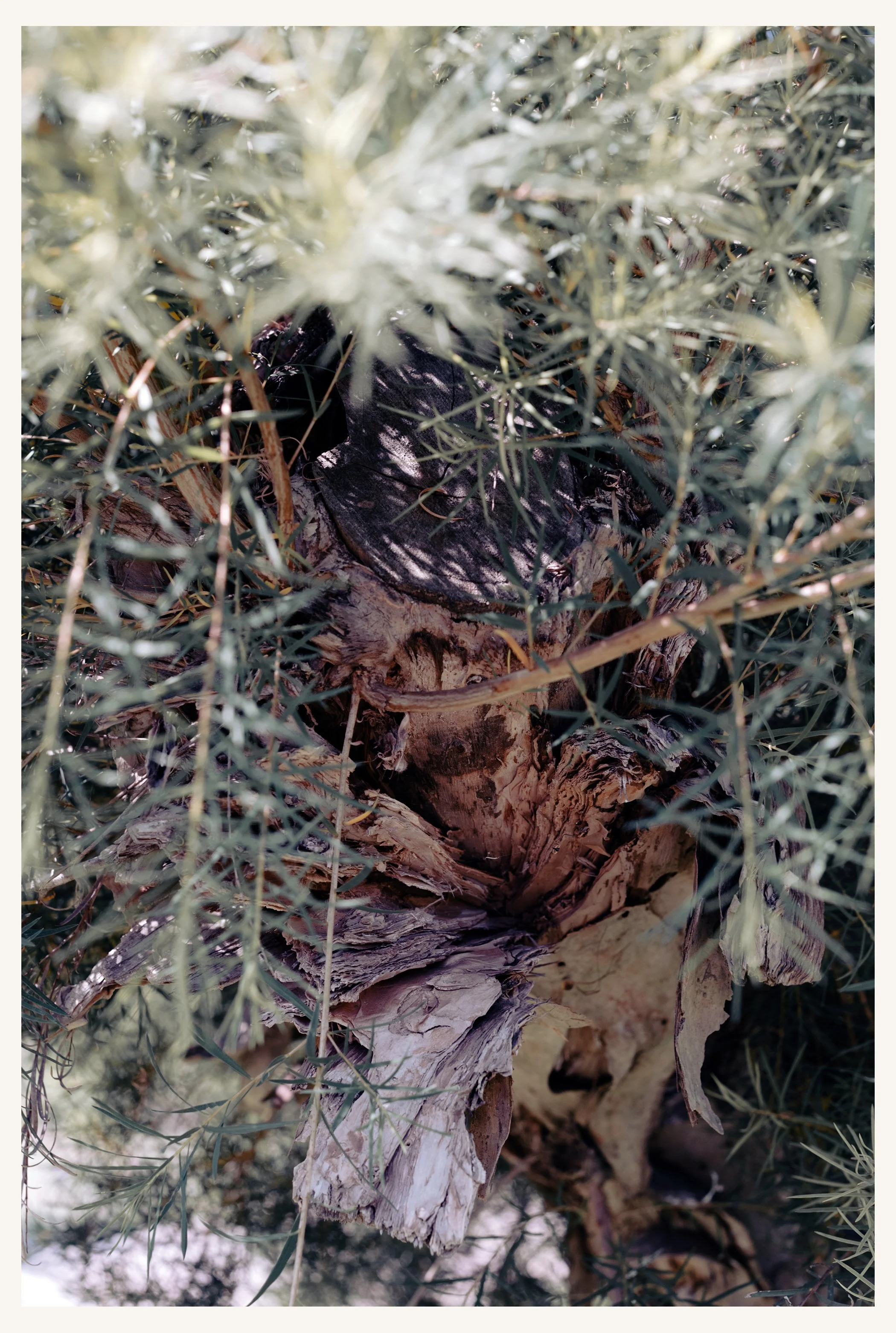 Garten_012R.jpg