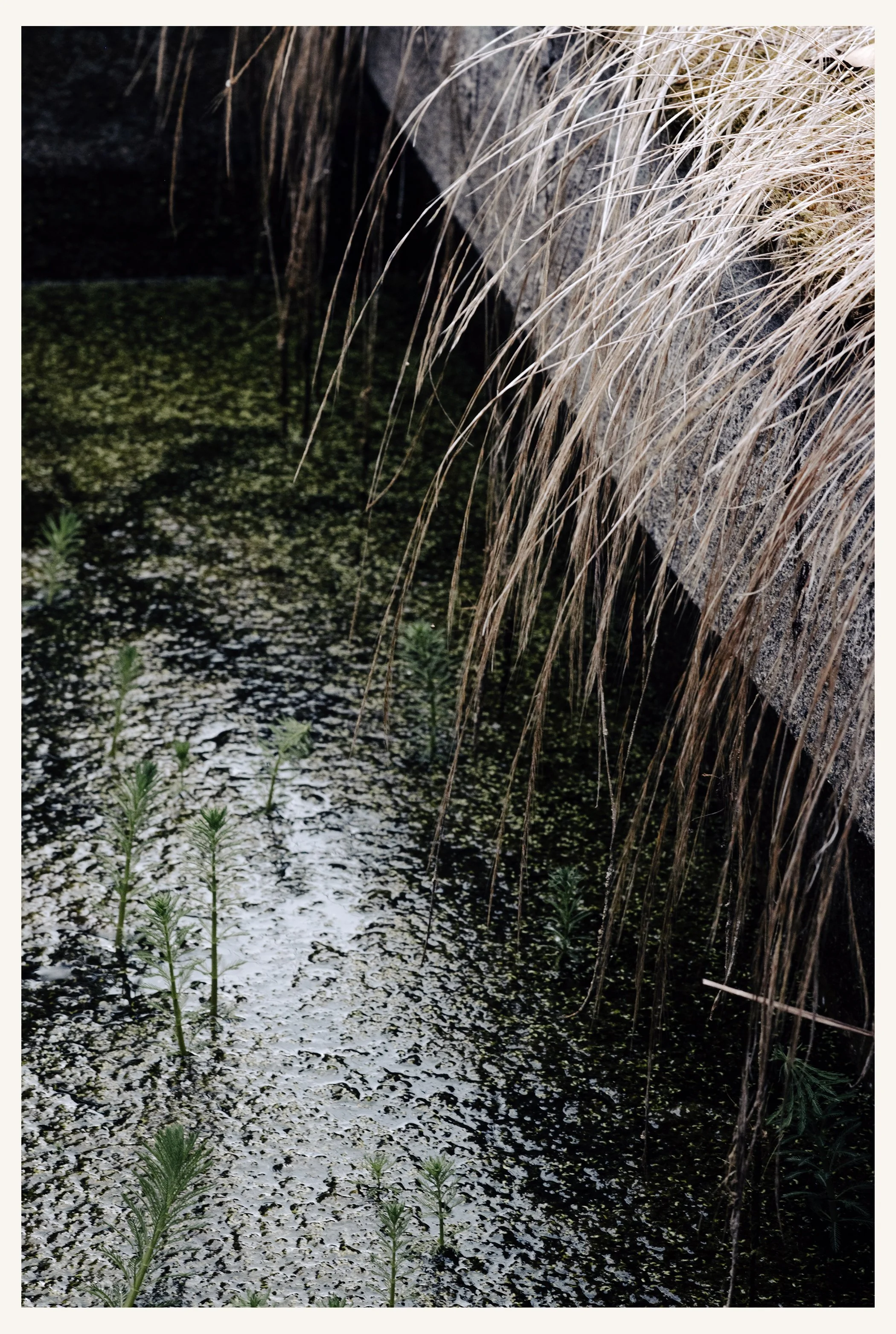 Garten_097R.jpg