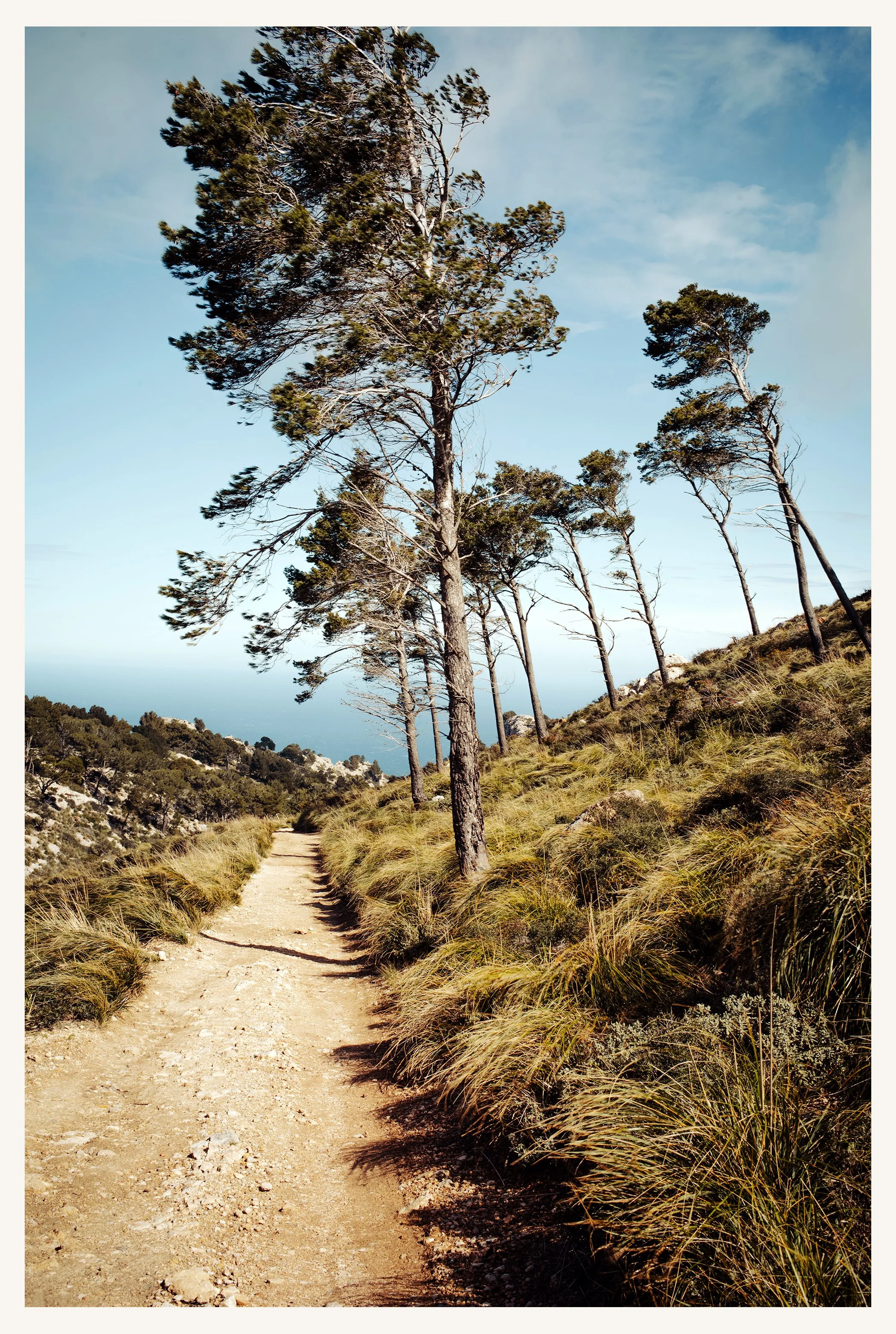 Mallorca-375R.jpg