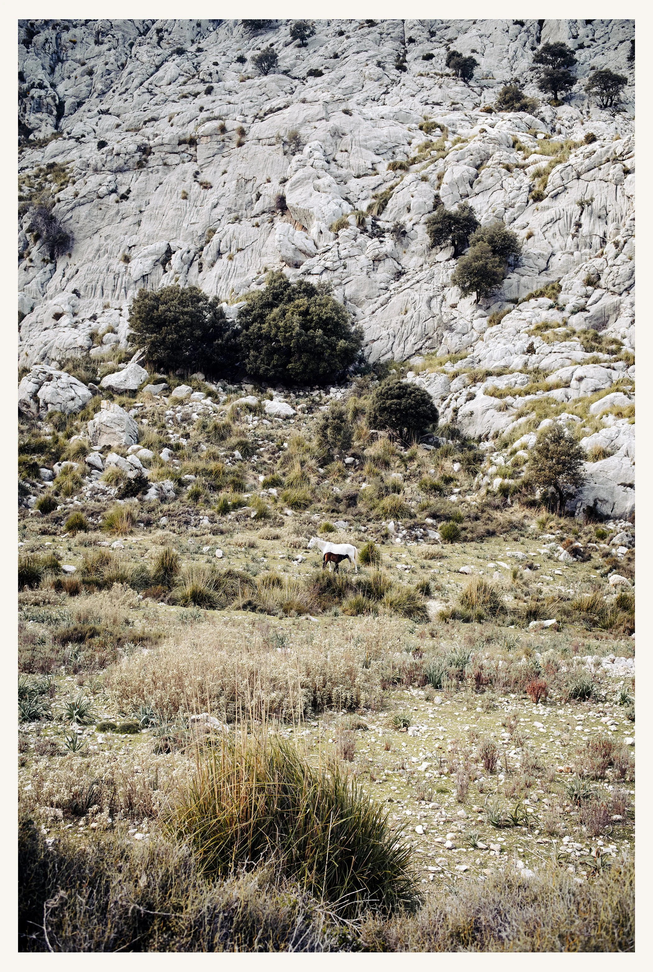 Mallorca-157R.jpg