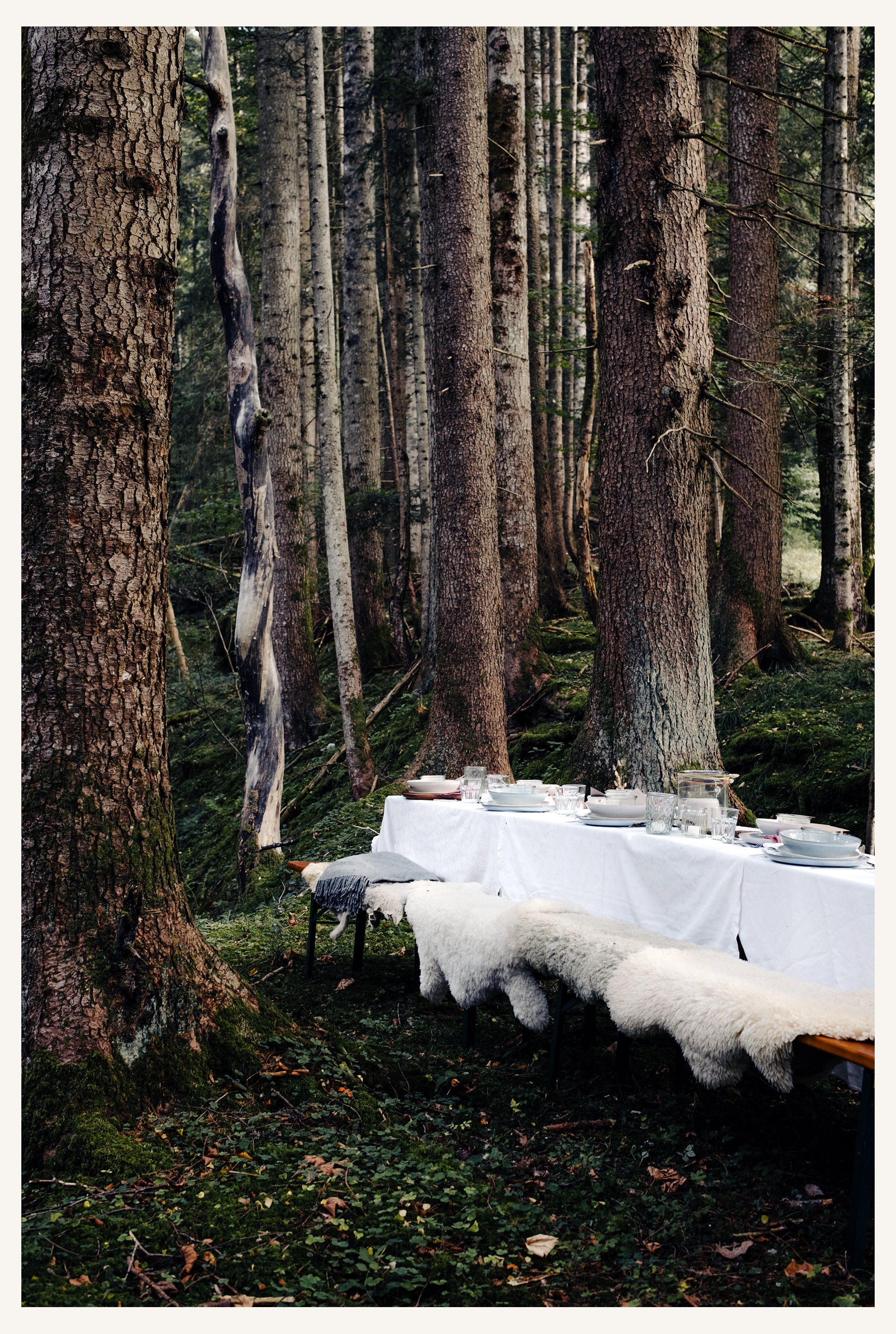 WaldDinner_3760R.jpg