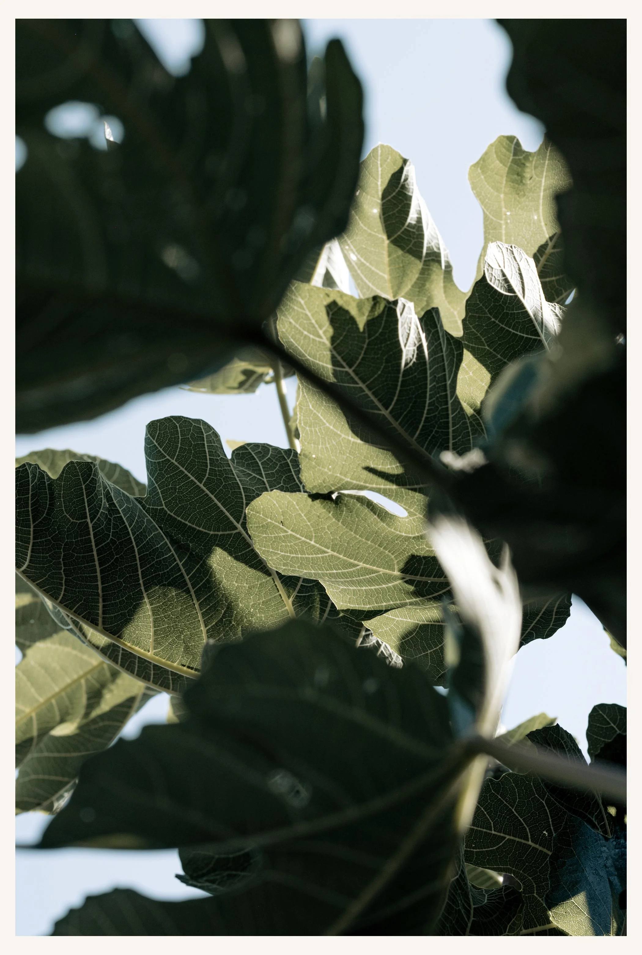 Garten_092R.jpg