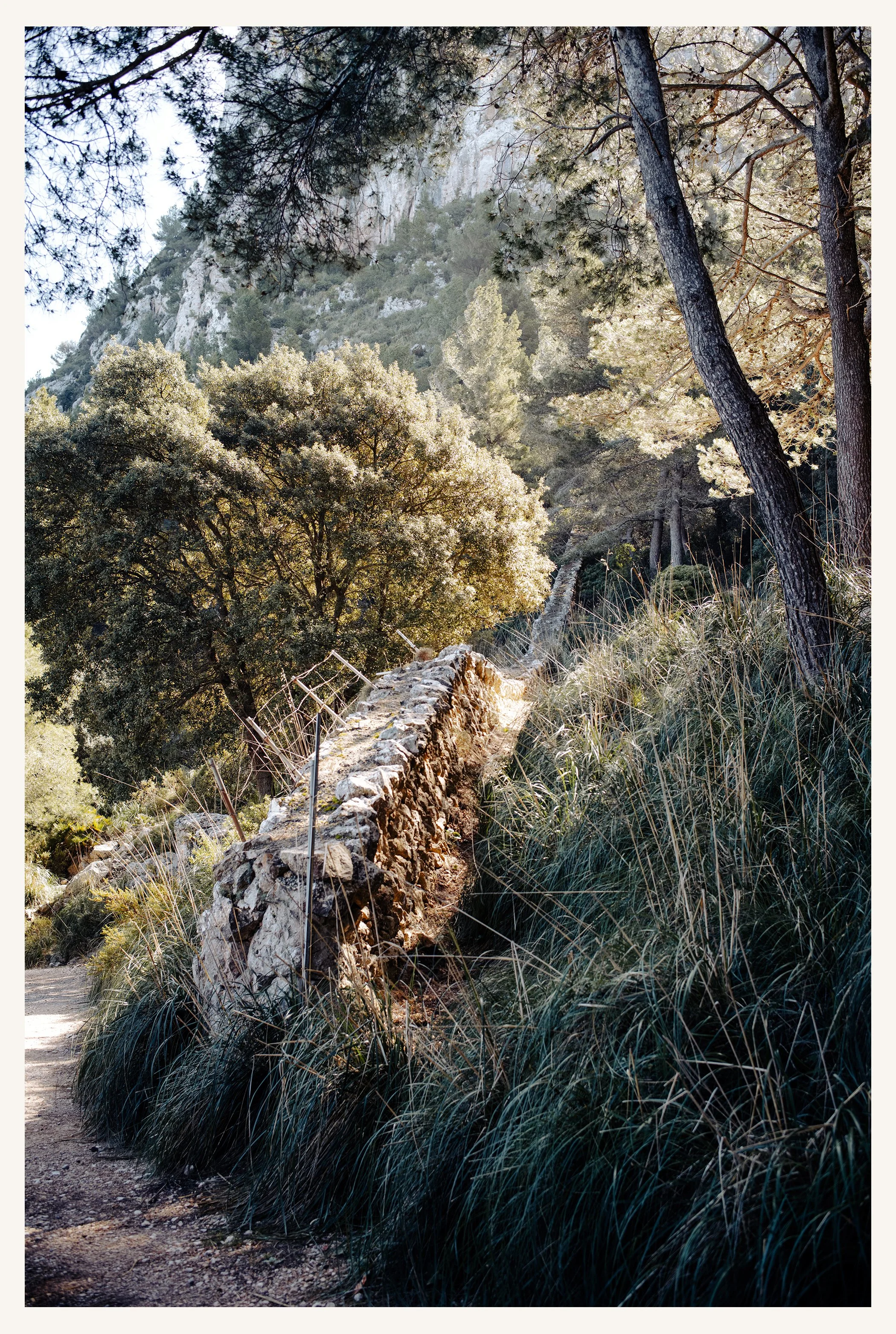 Mallorca-379R.jpg