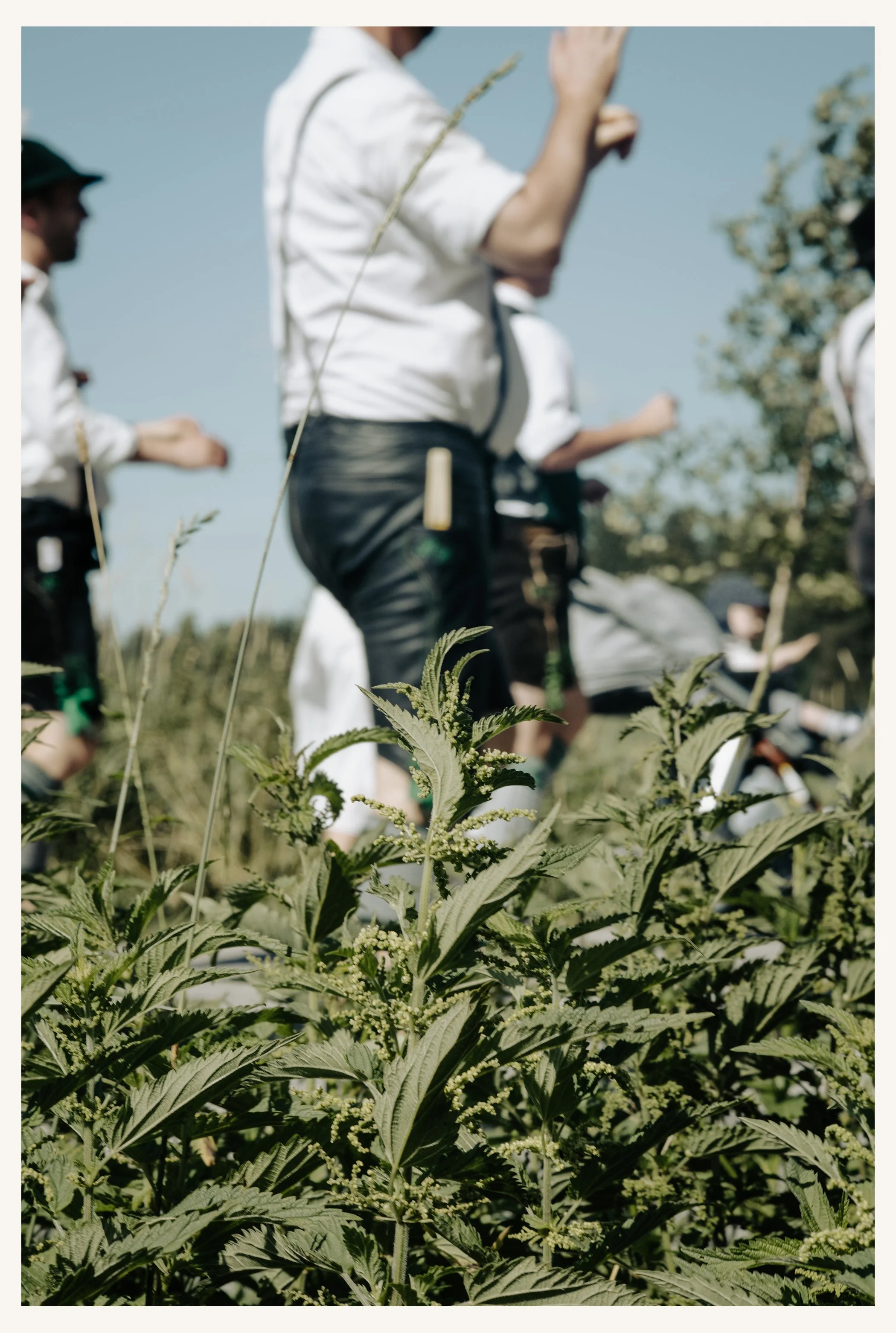 Sommerparade_1224R.jpg