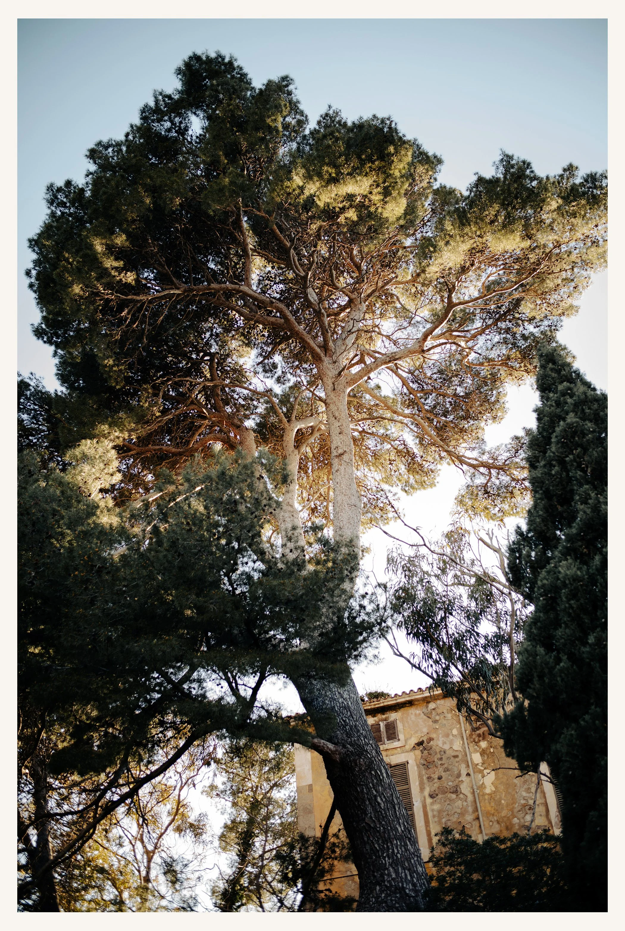 Mallorca-342R.jpg