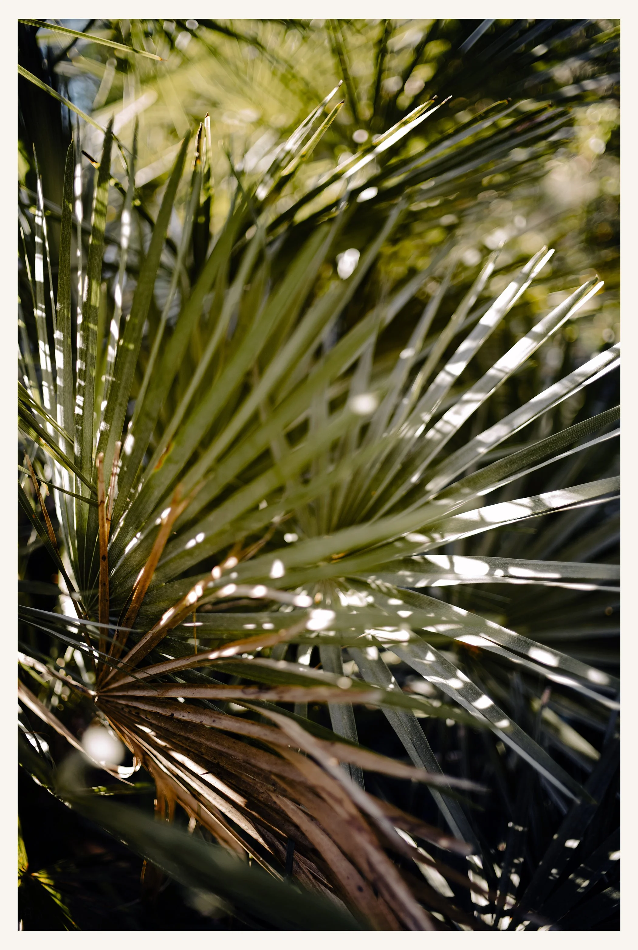 Mallorca-015R.jpg
