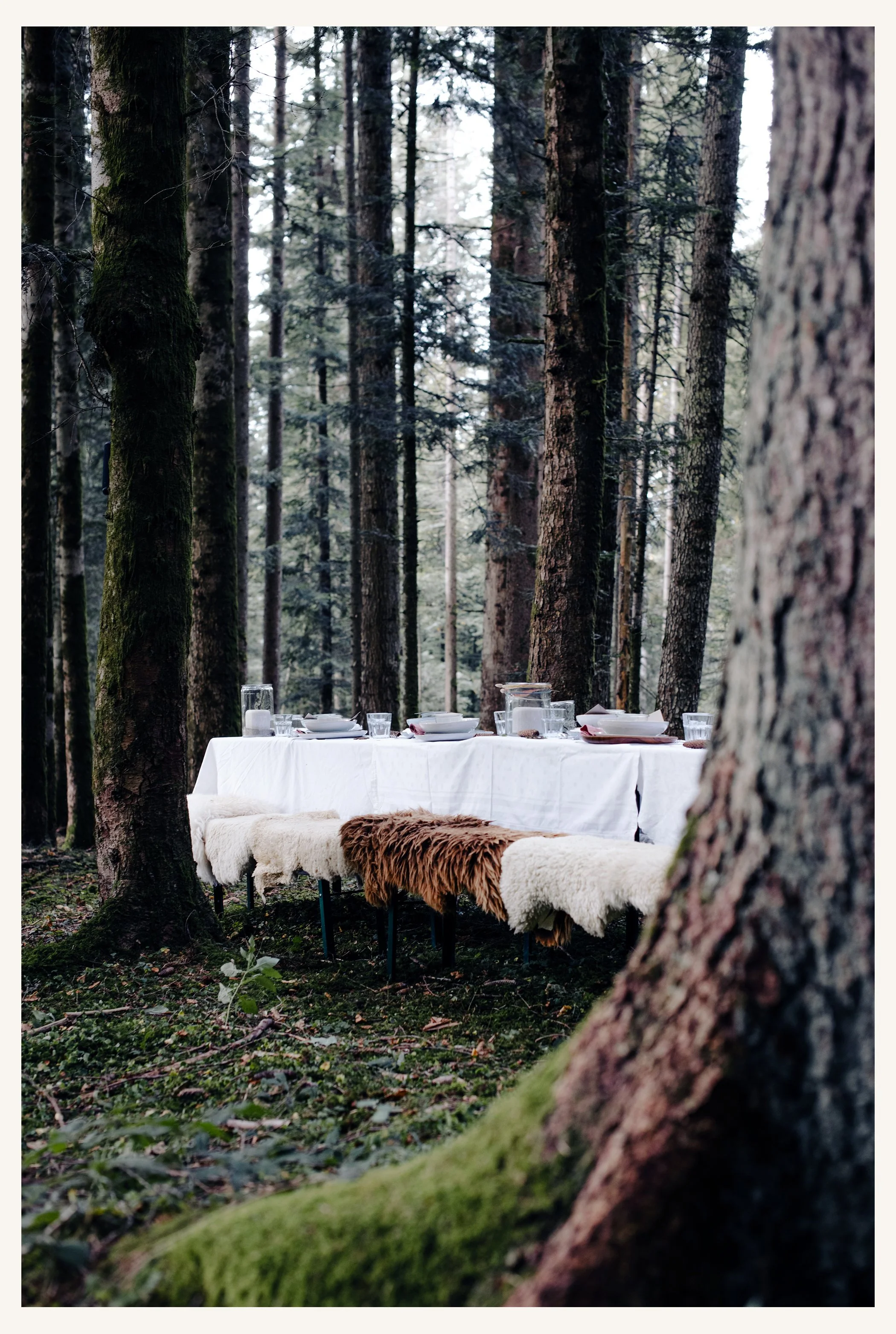 WaldDinner_3717R.jpg
