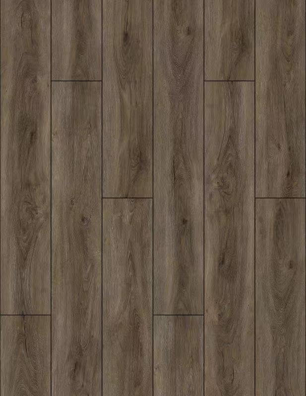 IOWA Floor Only.jpeg