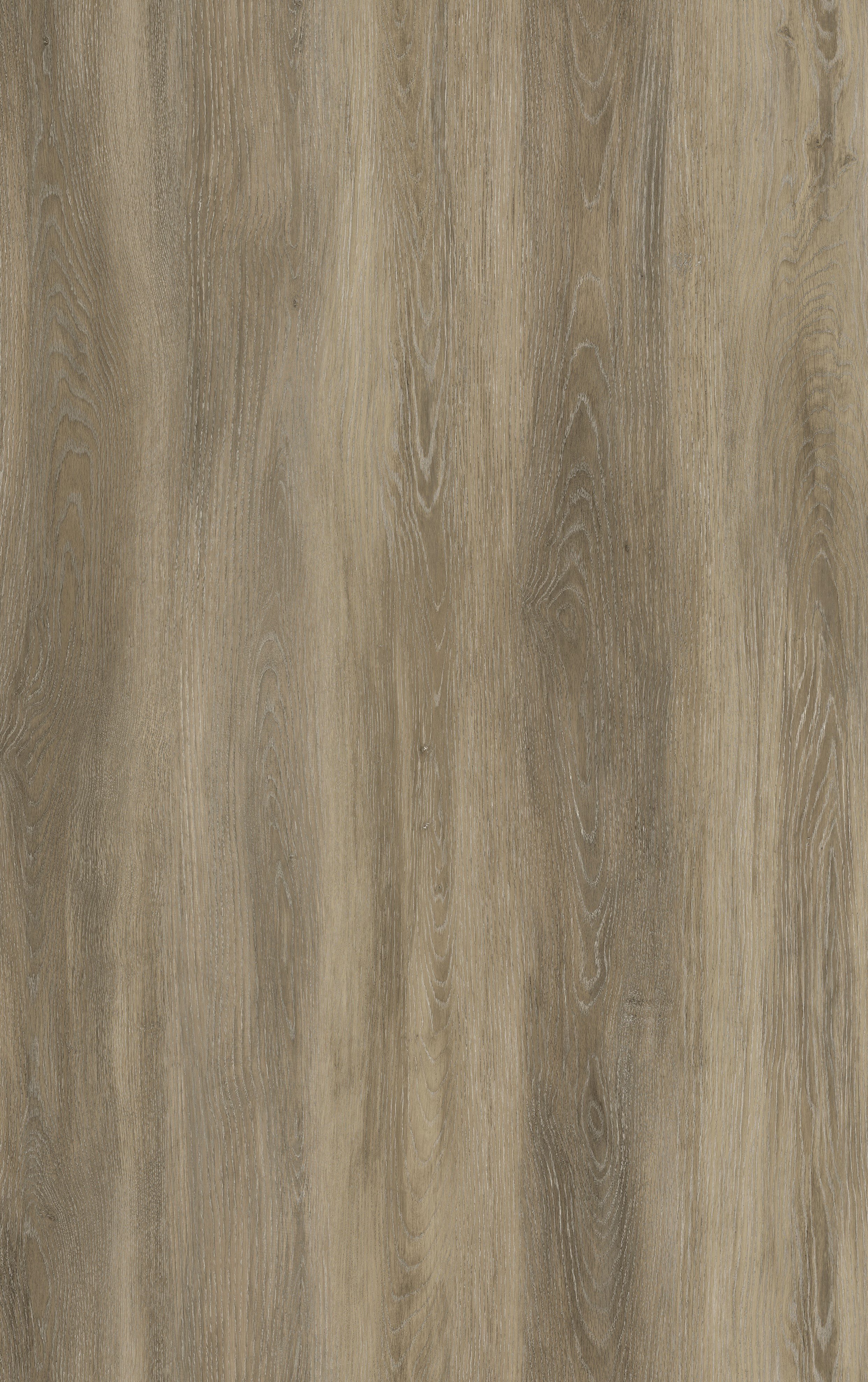 WASHINGTON Floor Only (1).jpeg
