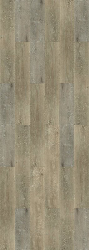 Canyon Gray Floor.jpg