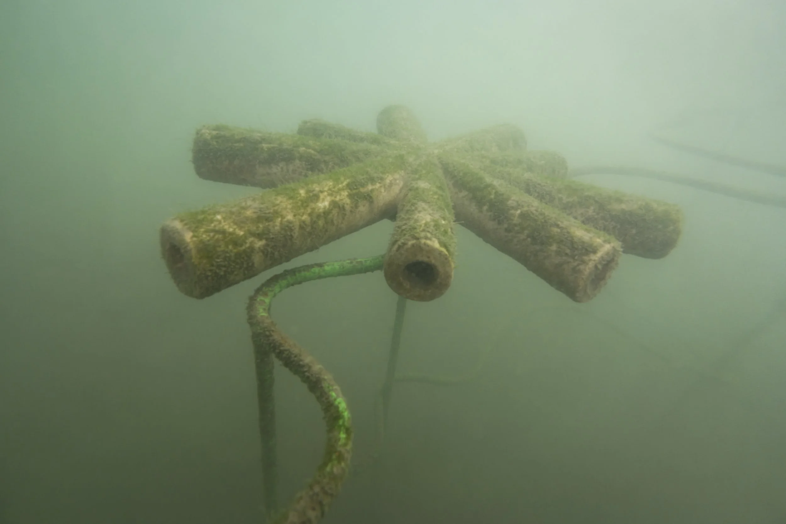 Artist: Marie Griesmar, Ⓒ Busan Biennale Organizing Committee. All rights reserved. (Photo: Changsu Yoon)