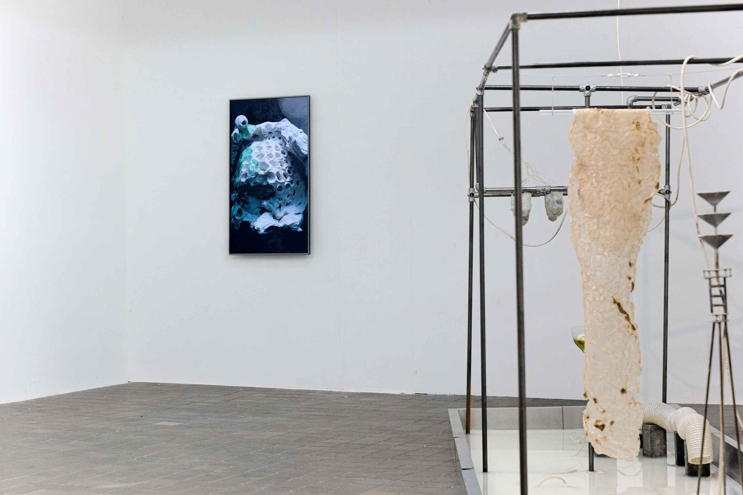 Kunstpunkt_group_The Shape of Us_2026_web-9.jpg