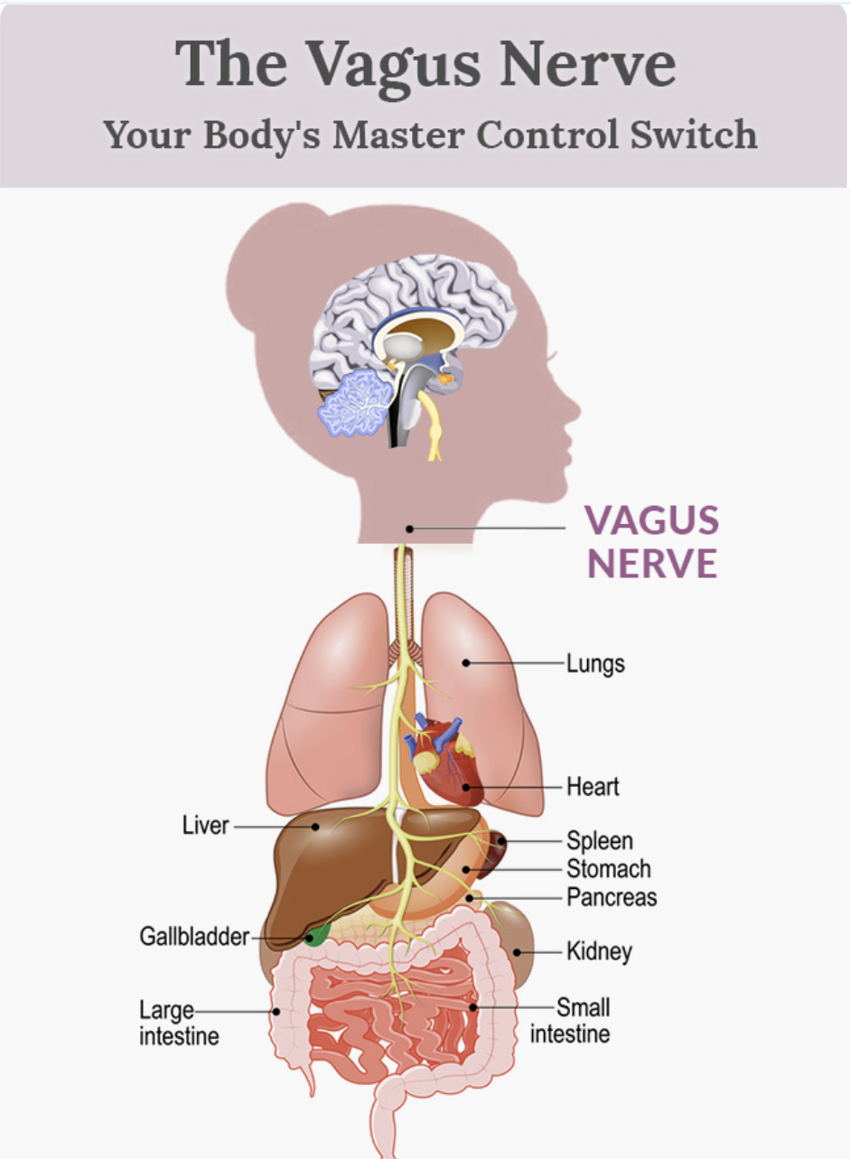 &nbsp;What Actually Happens in a Sound Bath?