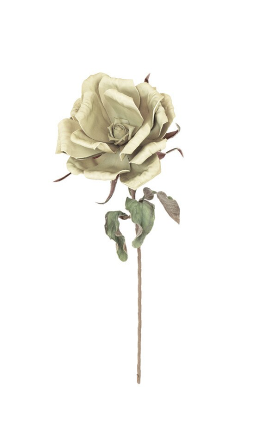 Screenshot 2026-05-11 at 8.18.16 PM.png