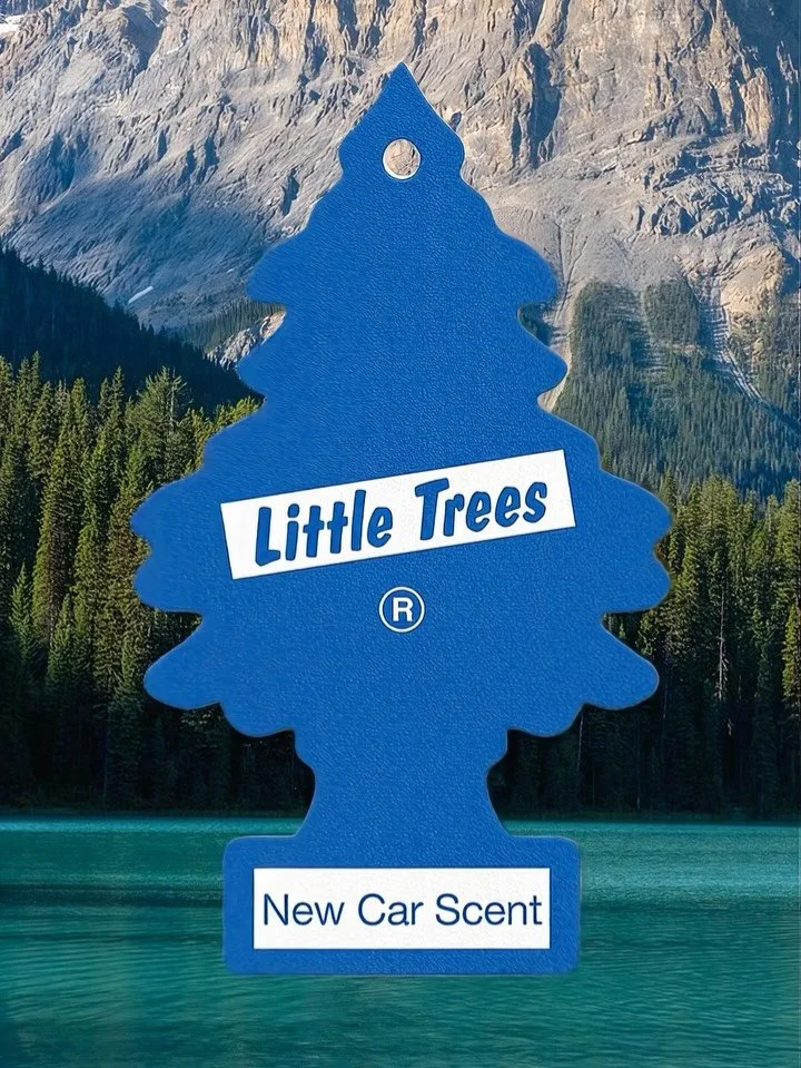 What in your everyday has sparked your curiosity lately?

We were driving back to Dublin today when I caught the rearview mirror at the right angle and realised the &ldquo;new car smell&rdquo; hanging in our car is four years old. I finally decided t