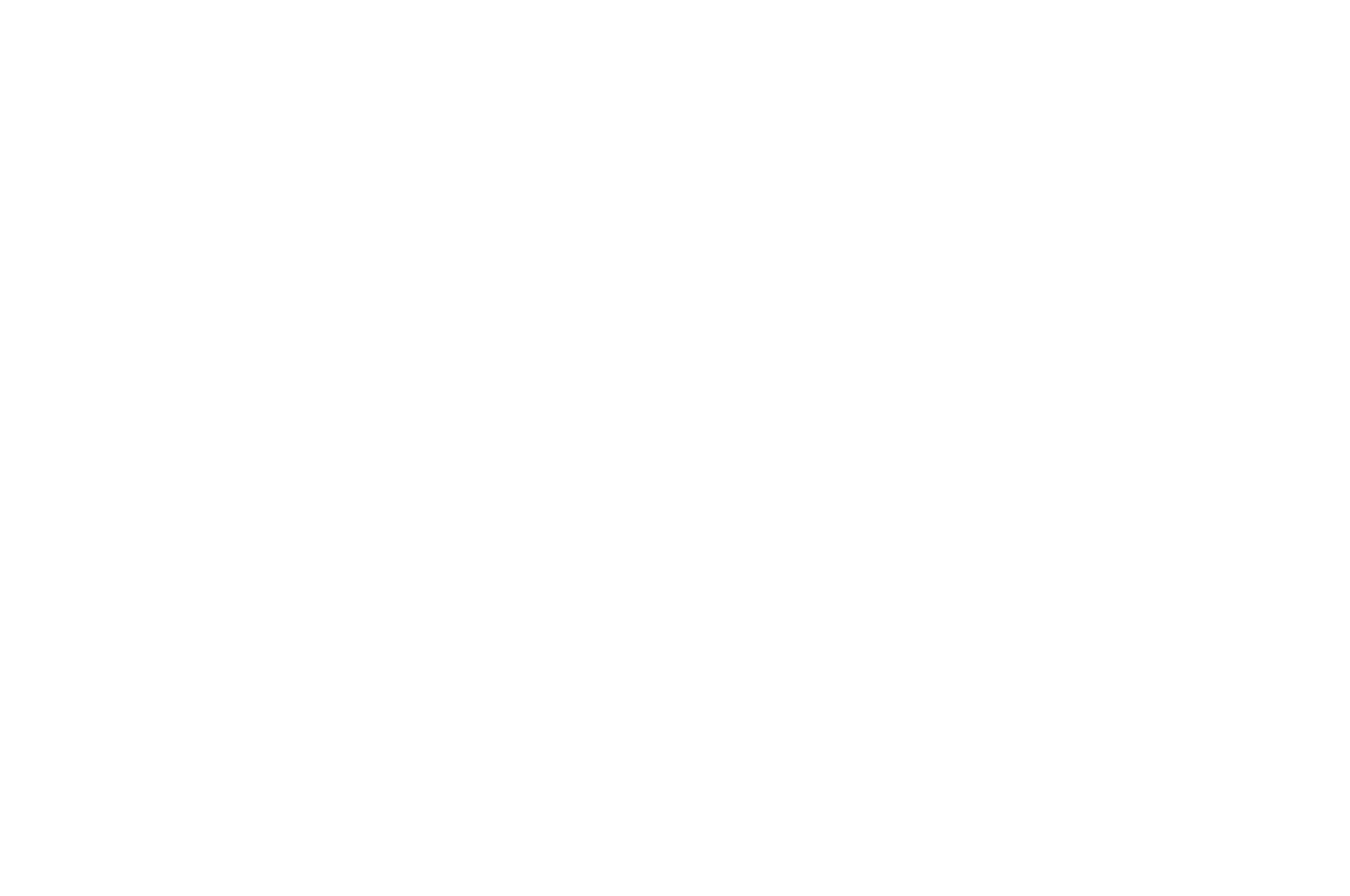 International Independent Film Awards 2025-Moon Over Capri-W.png