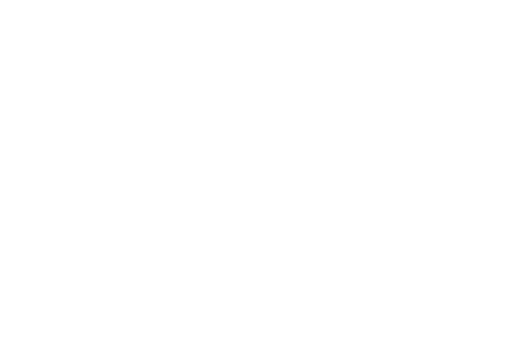 International Independent Film Awards 2025-Single for Life-W.png