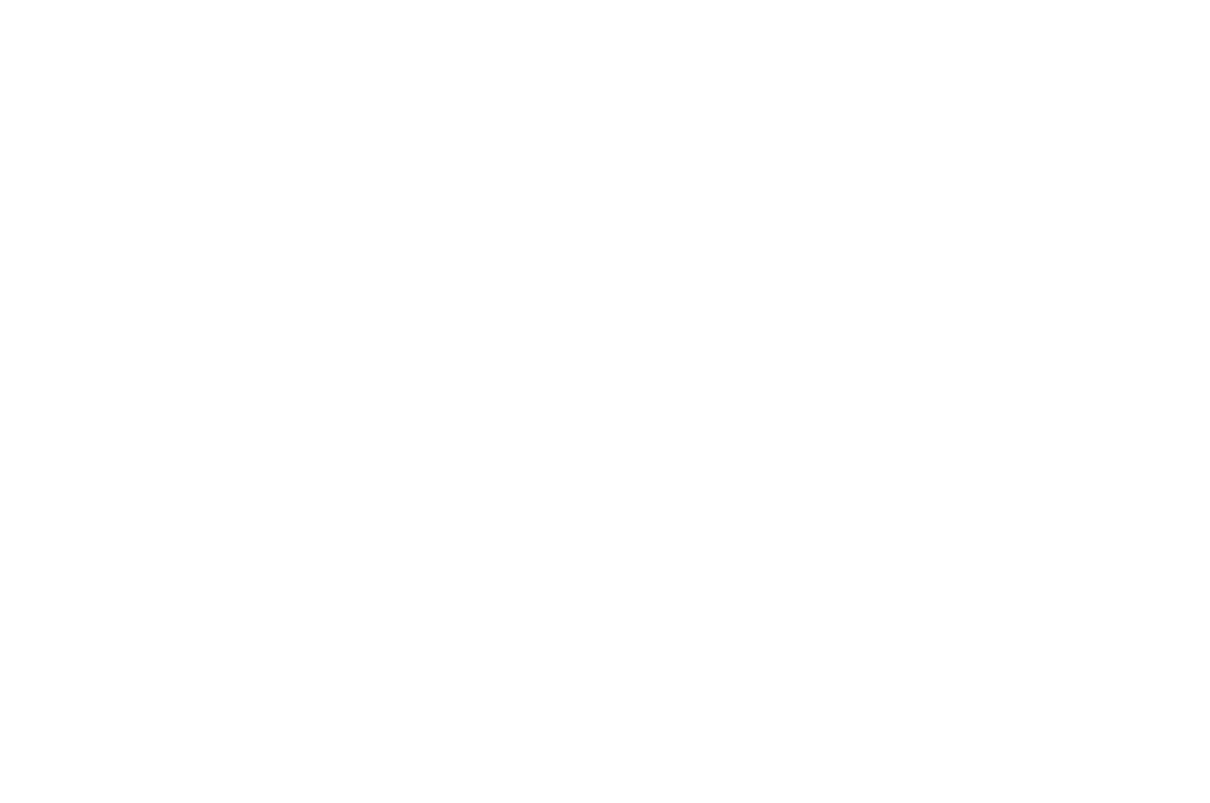 LA Film Documentary Award 2025-Single for Life-W.png