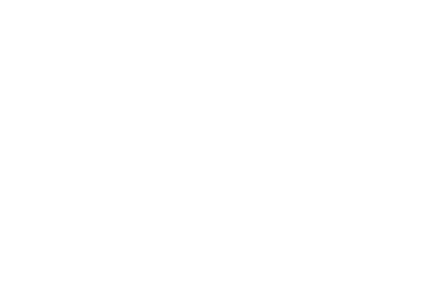 Los Angeles Movie Music Video Awards 2025-Moon Over Capri-W.png