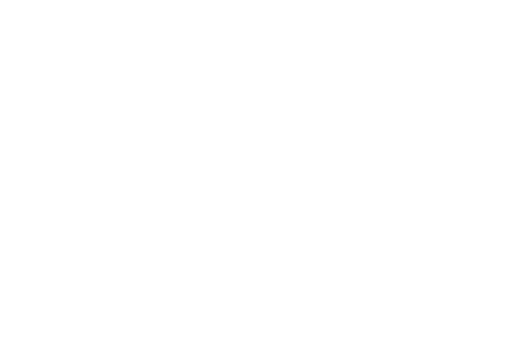 Rome International Movie Awards 2025-Single for Life-W.png
