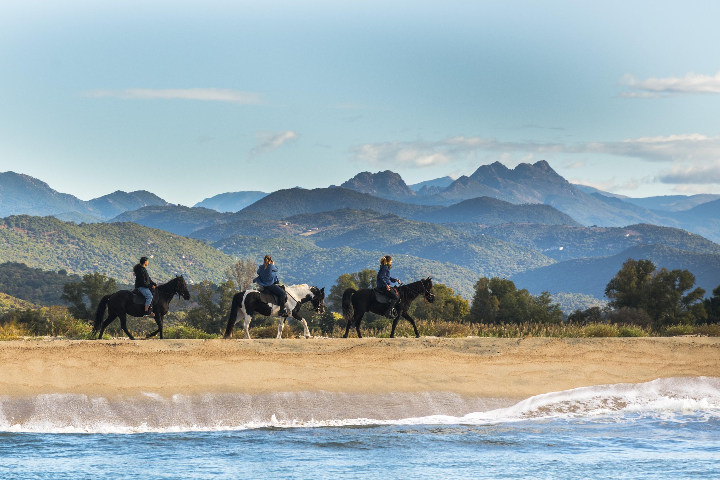 Plage cheval corse du sud.jpg