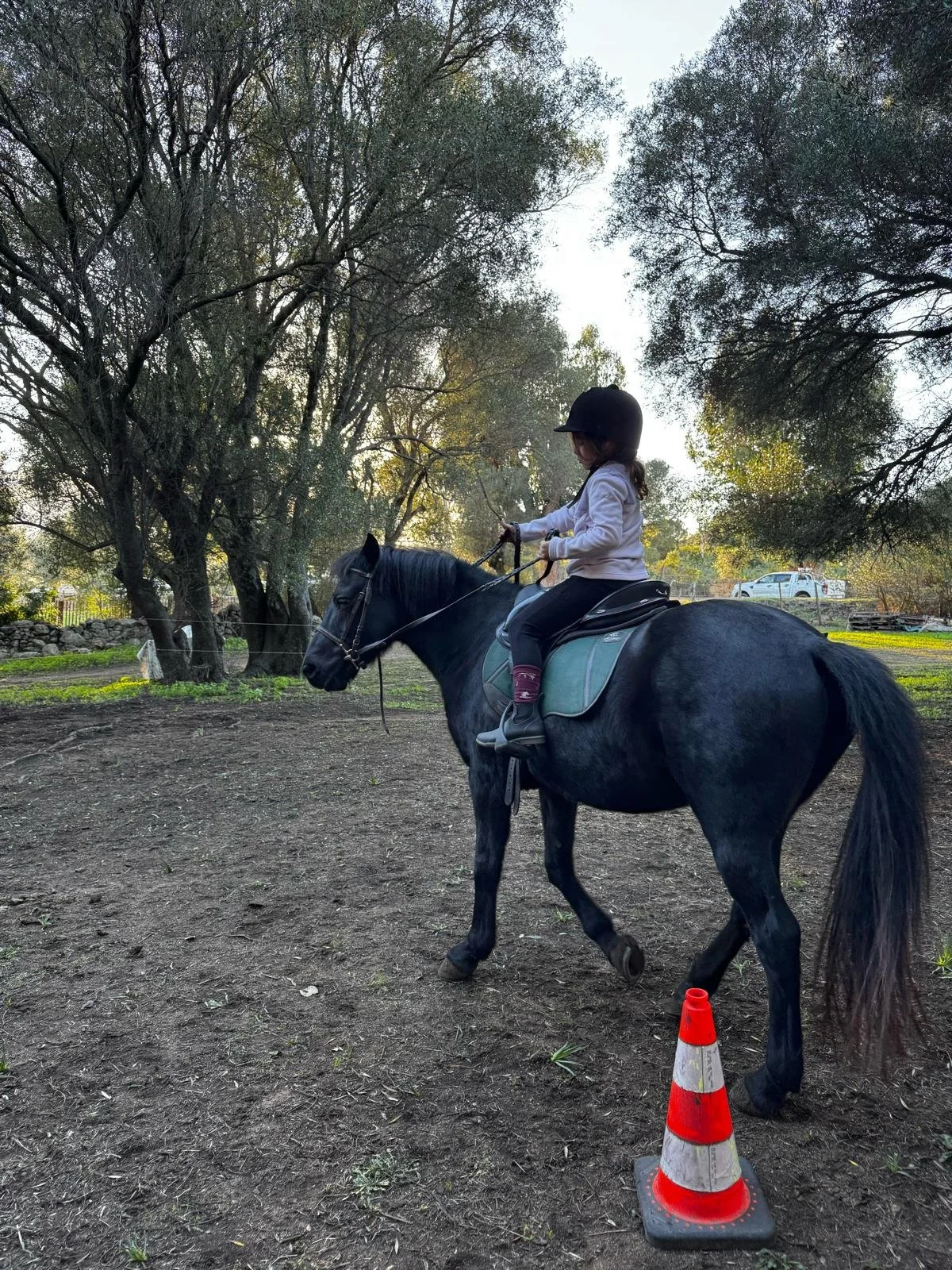 Une jeune fille chevauche un cheval noir en pleine nature, portant un casque noir et une veste blanche, avec un cône de signalisation orange et blanc à proximité.