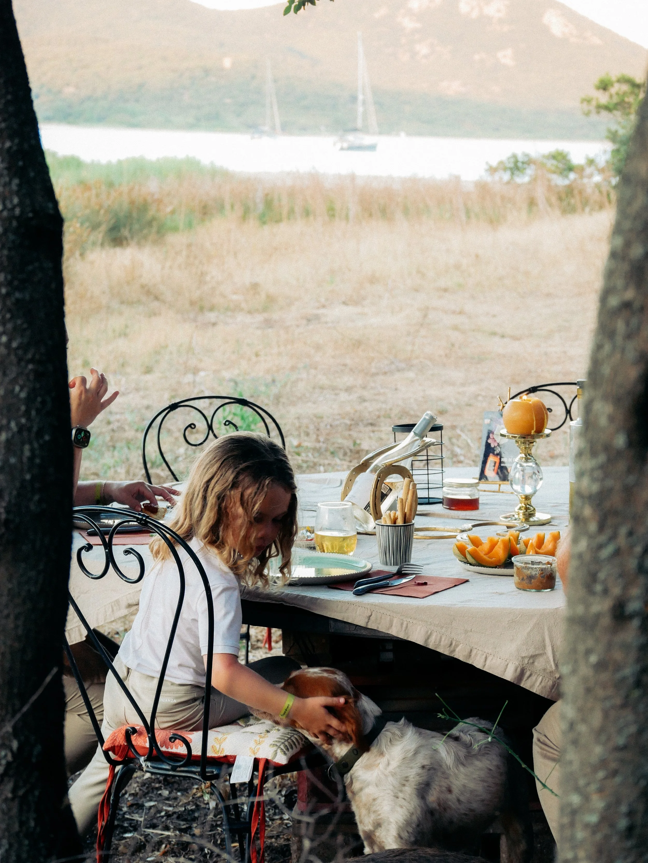 Une scène de pique-nique en plein air avec plusieurs personnes assises autour d'une table, partageant un moment convivial avec un chien. La table est décorée avec des citrouilles, des verres de boisson, et des plats.