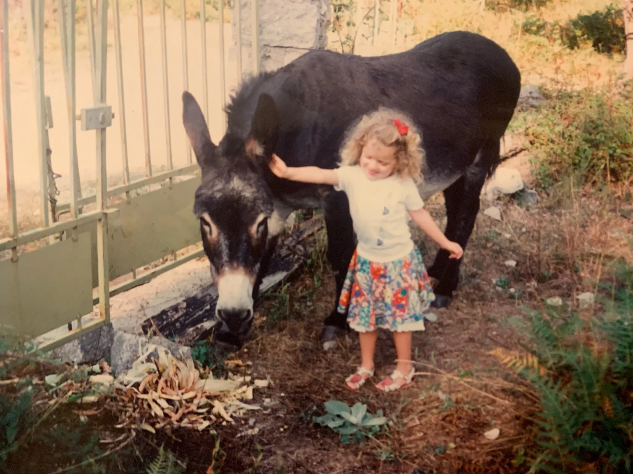 Une petite fille blonde avec un nœud rouge caresse un âne près d'une barrière métallique. L'environnement est rural avec de la végétation.