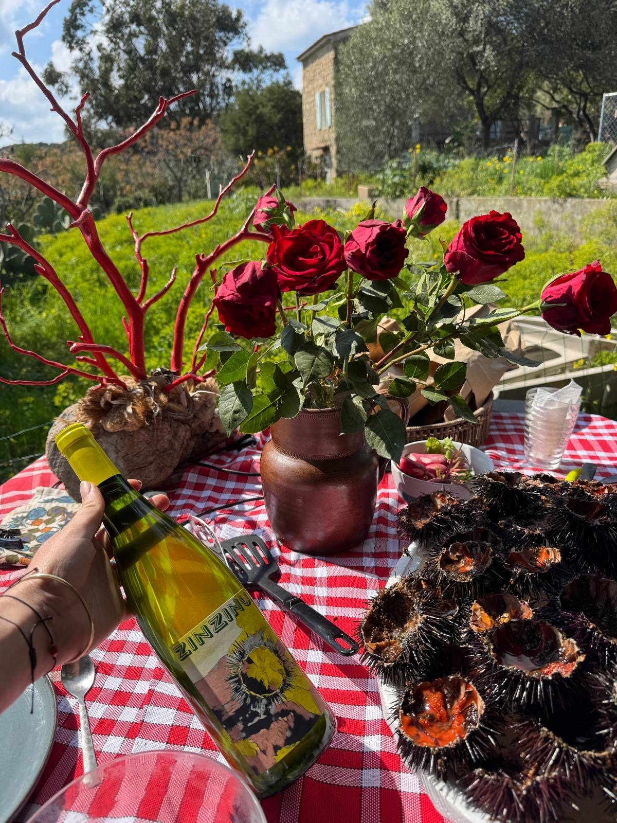 Table avec des roses rouges en vase, des plats d'ormeaux grillés, une bouteille de vin blanche, et une main qui tient la bouteille, en plein air sur une table à carreaux rouges et blancs