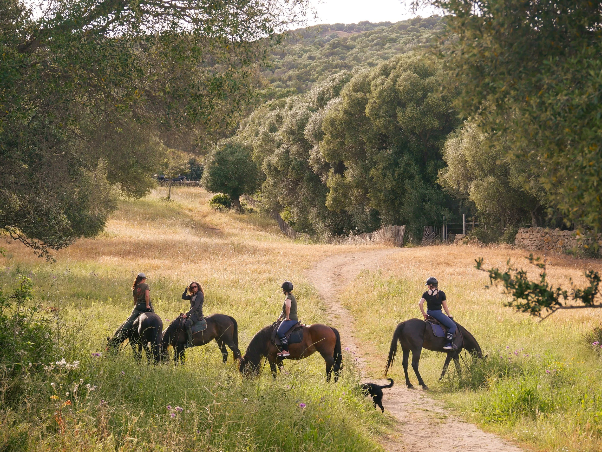 Groupe de personnes à cheval sur un chemin de campagne entouré d'arbres et de collines en arrière-plan.