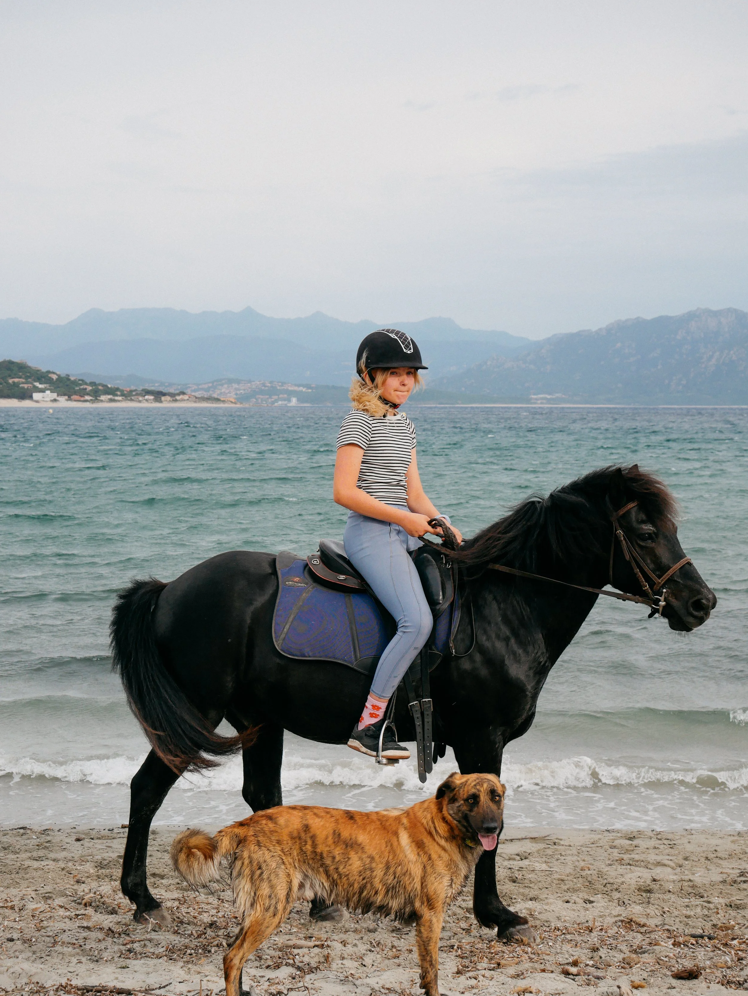 Une jeune fille chevauchant un cheval noir près de la plage, accompagnée d'un chien de grande taille à poil long brun foncé, avec une mer en arrière-plan et des montagnes au loin. La fille porte un casque noir, une chemise rayée et un pantalon gris.