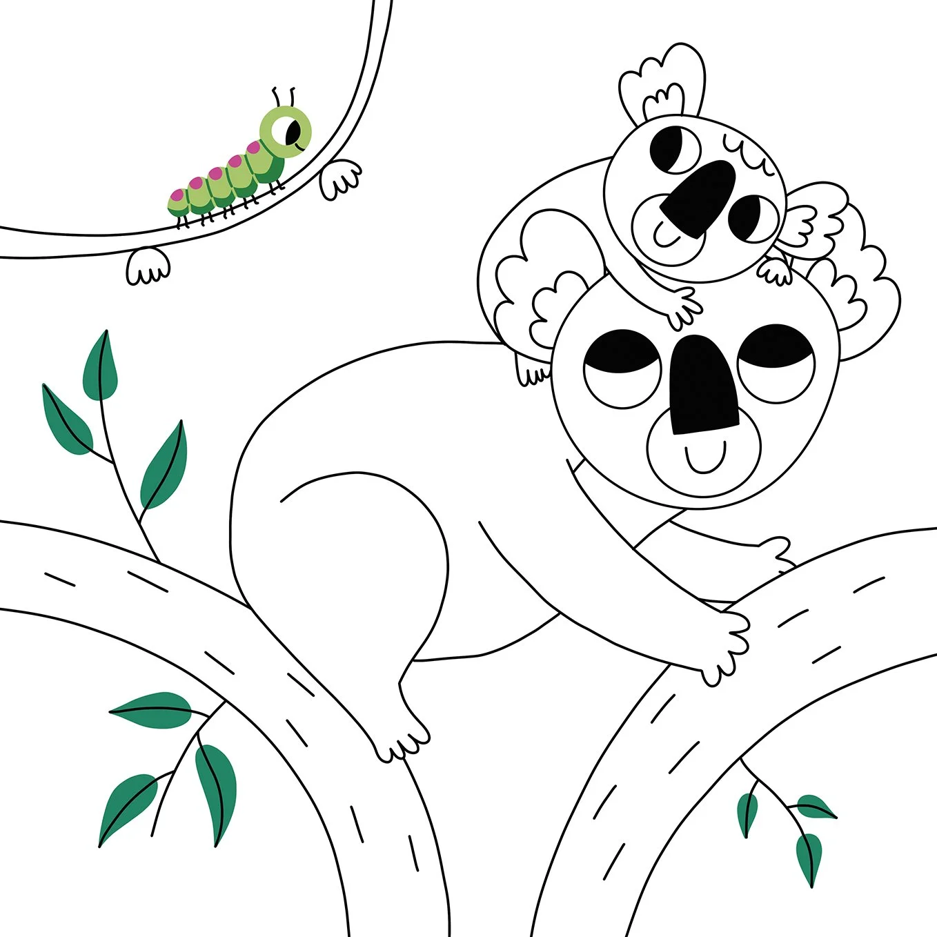 koala site.jpg