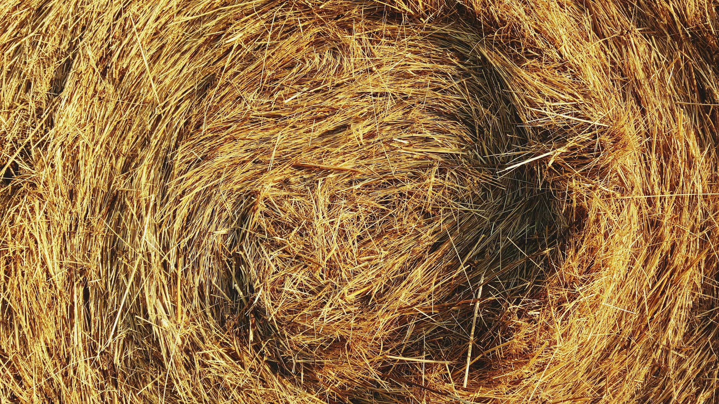 Life Cycle Assessment of Energy Pellets