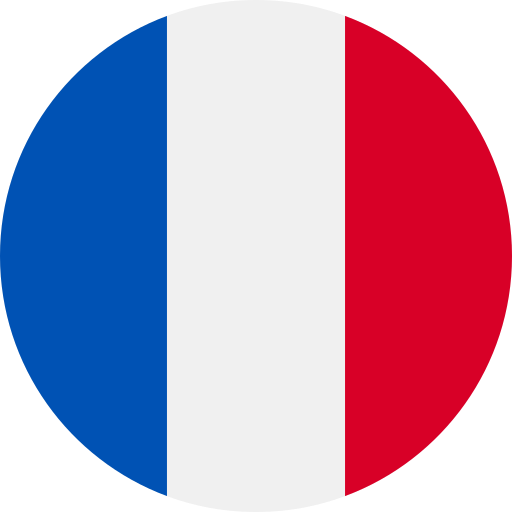 A circular illustration of the French flag with vertical blue, white, and red stripes.